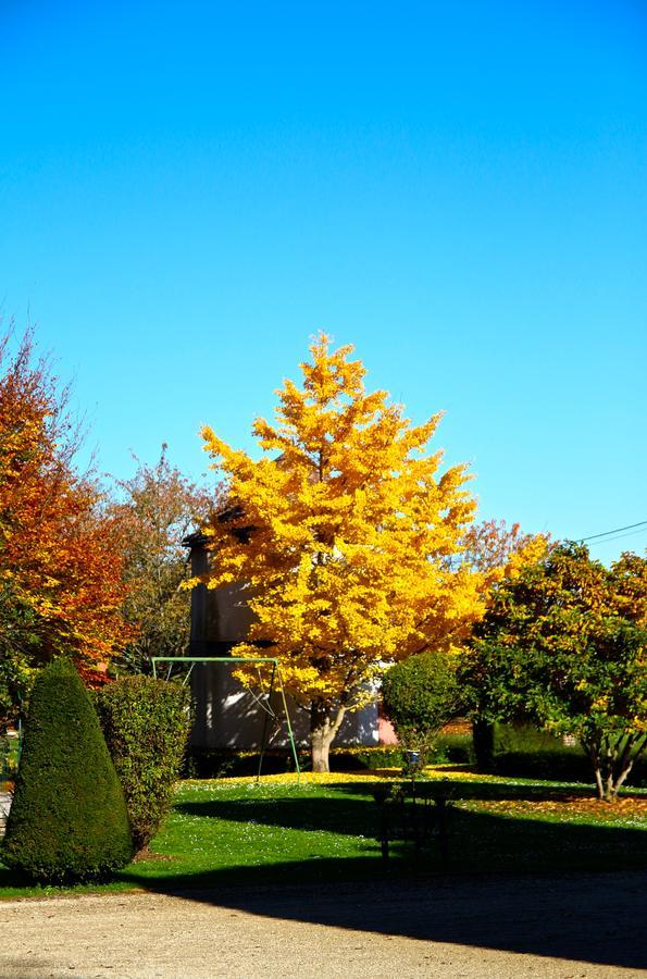 Chateau De Montabert Montaulin ภายนอก รูปภาพ