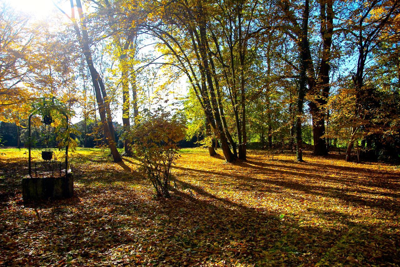 Chateau De Montabert Montaulin ภายนอก รูปภาพ