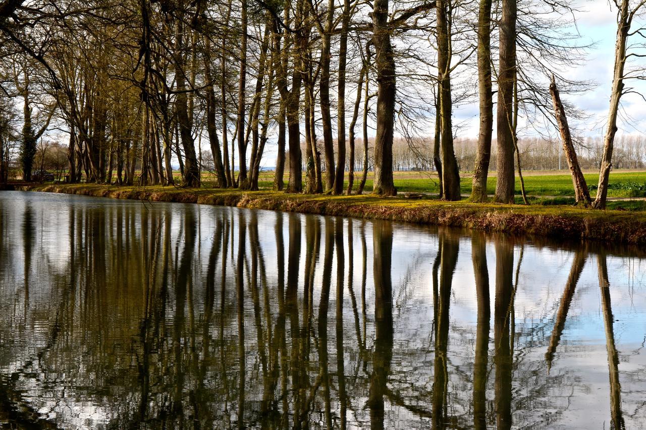 Chateau De Montabert Montaulin ภายนอก รูปภาพ